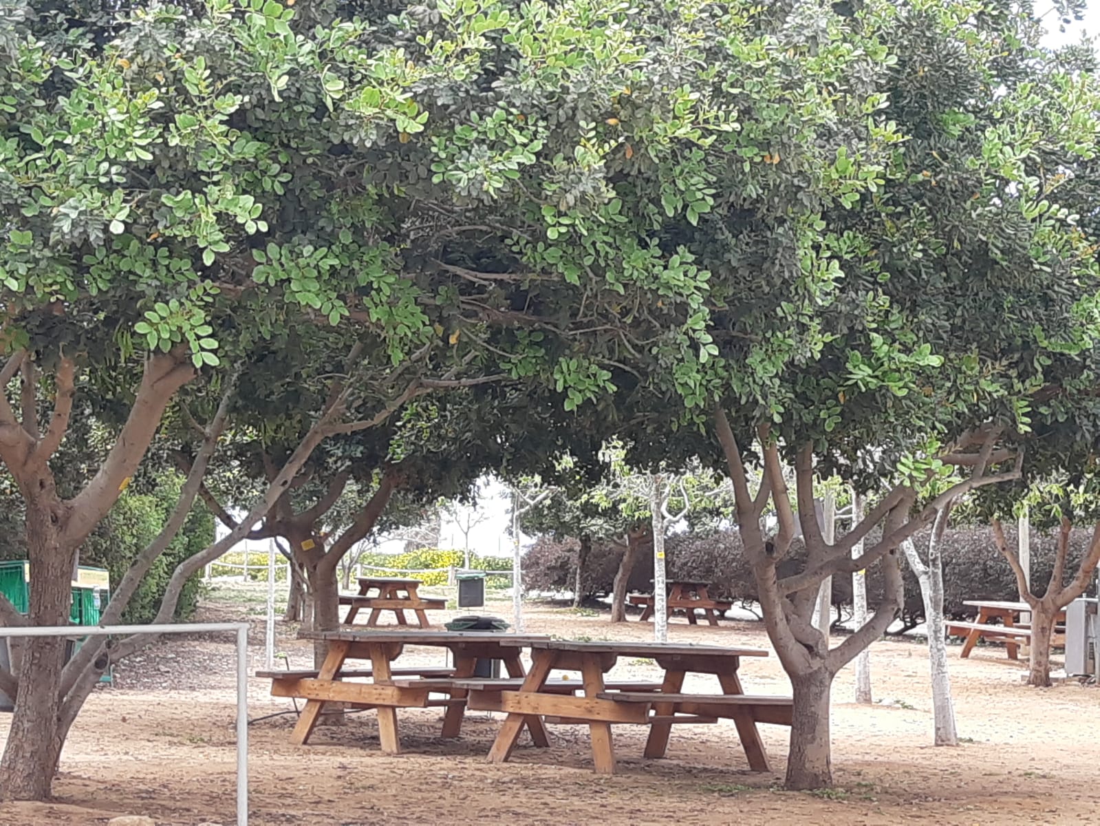 טיול לעובדים אפולוניה